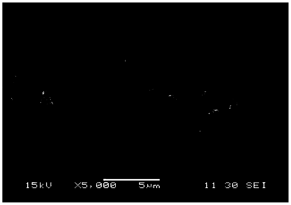 Rape straw modified biochar composite material for removing quizalofop-p-ethyl in water body and preparation method and application of rape straw modified biochar composite material