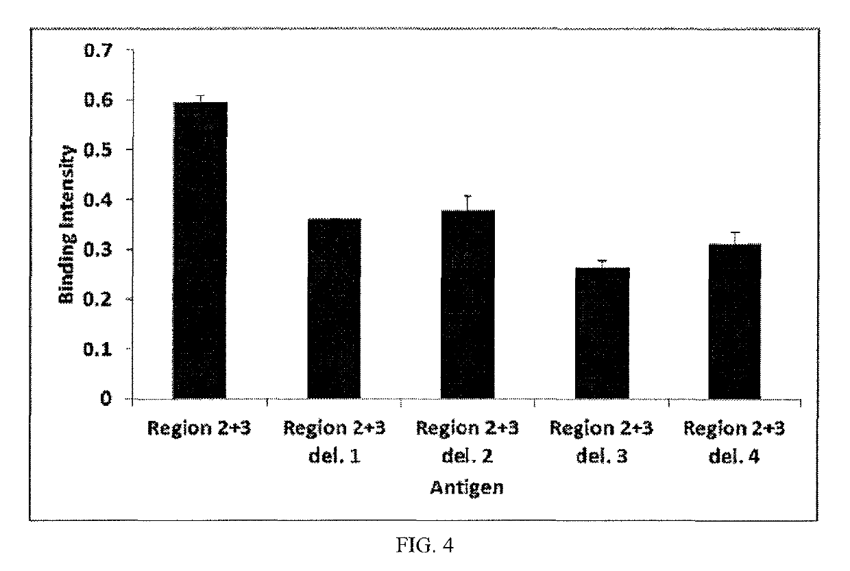 Epitope of hepatitis B virus surface antigen and binding molecule specifically binding to same for neutralizing hepatitis B virus