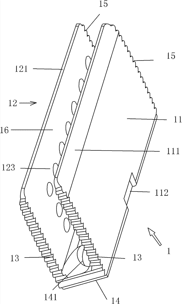 Lumbar interbody fusion device