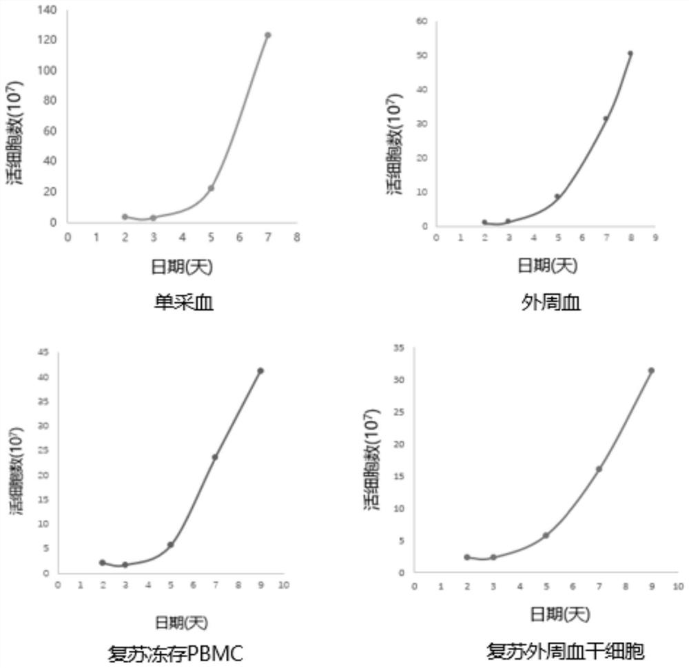 T cell enriching method and application thereof to adoptive T cell therapy