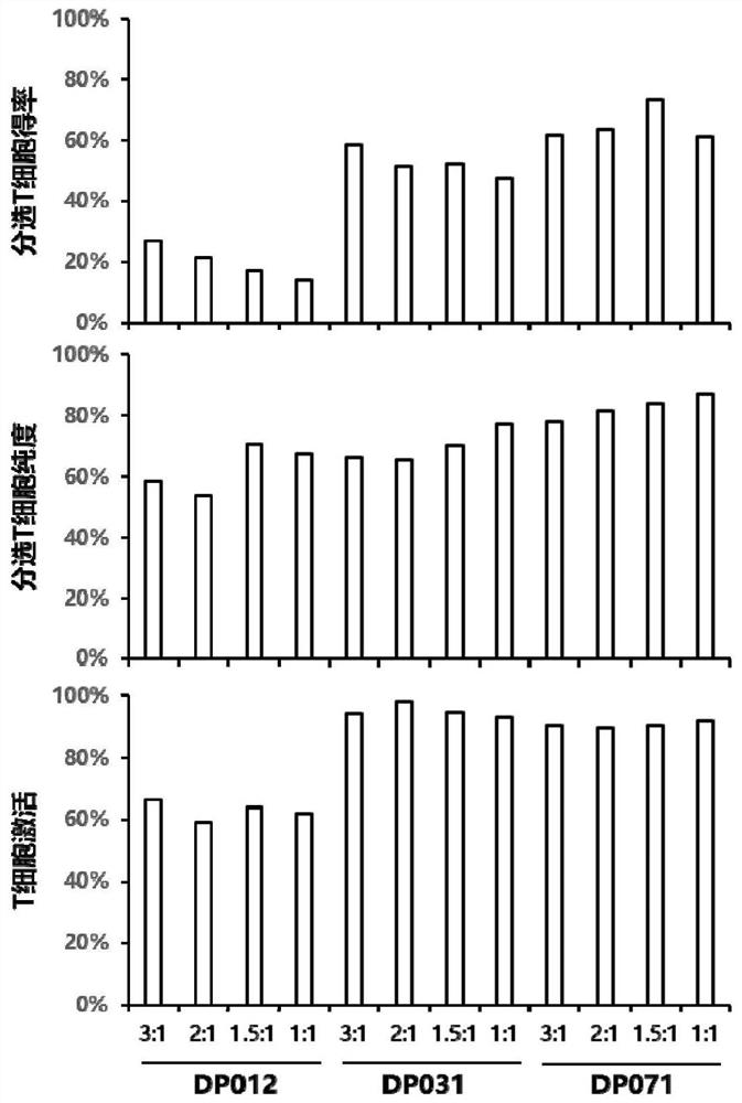 T cell enriching method and application thereof to adoptive T cell therapy