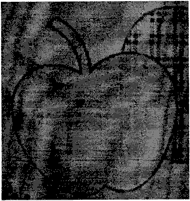 Method for generating laser cutting program