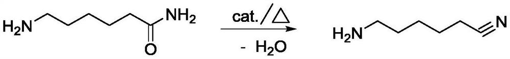 Method for preparing hexamethylenediamine key intermediate 6-aminocapronitrile by two-step method