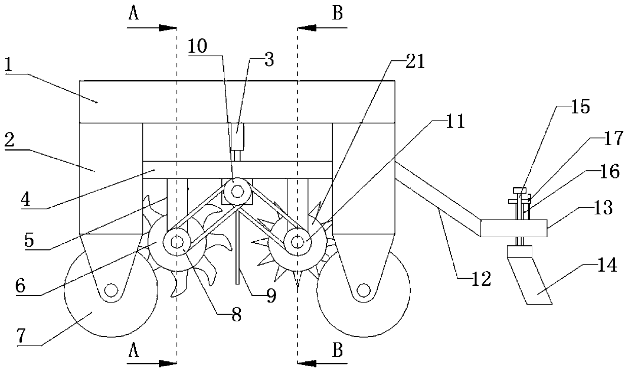 Soil loosening device for rhizoma polygonati planting