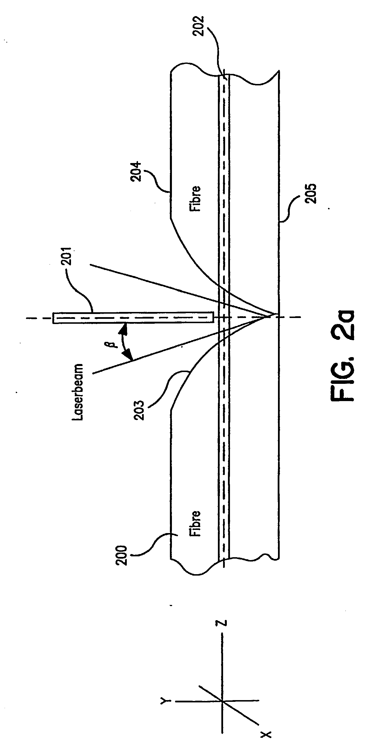 Ferrule assembly