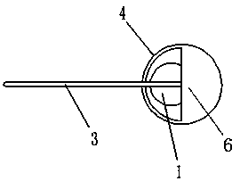 Double-guide wire detaching system for coils