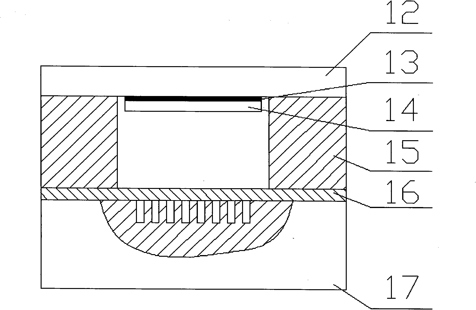 Laser indirect compound micro plastic forming device and method