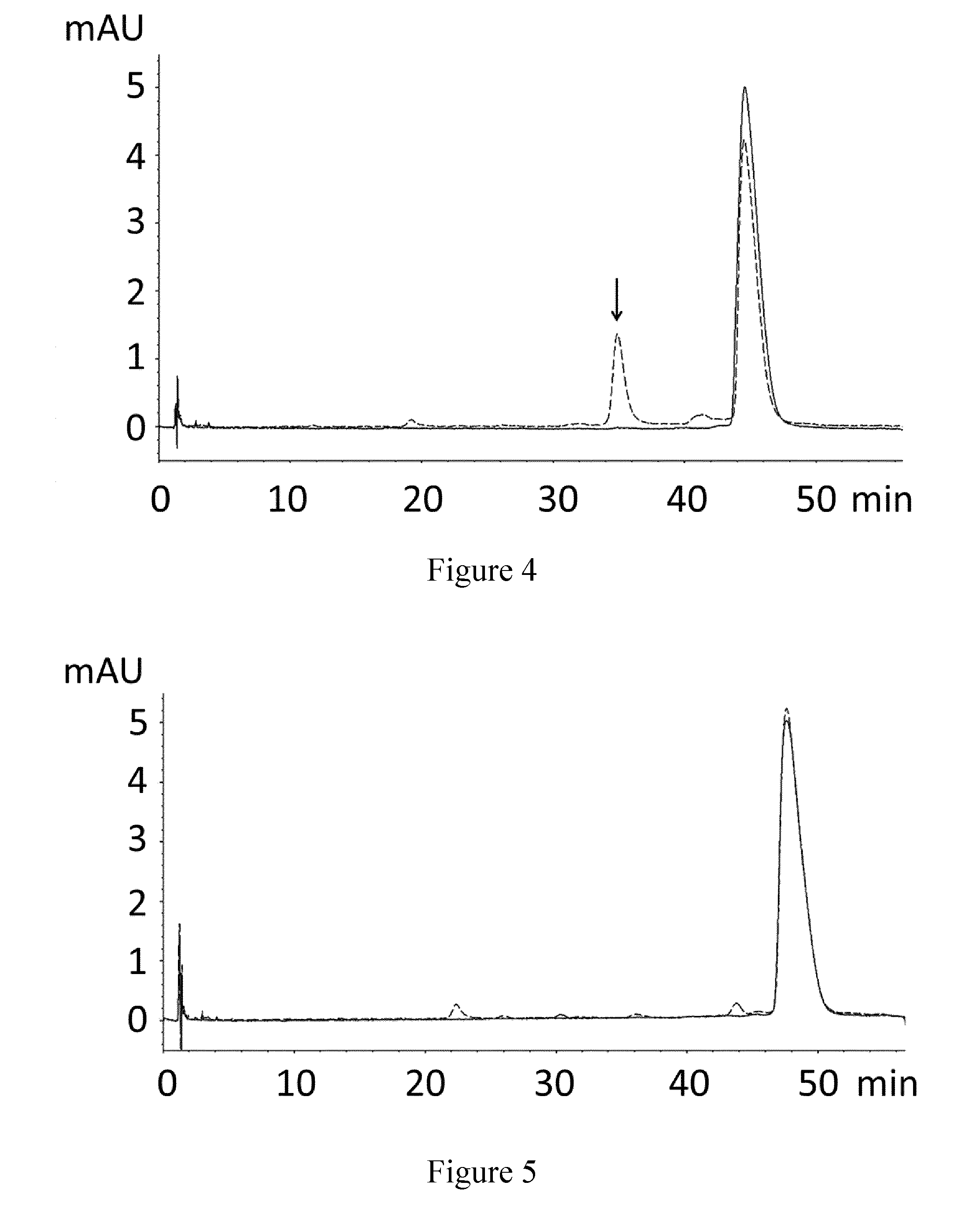 Stable polypeptides binding to human complement c5