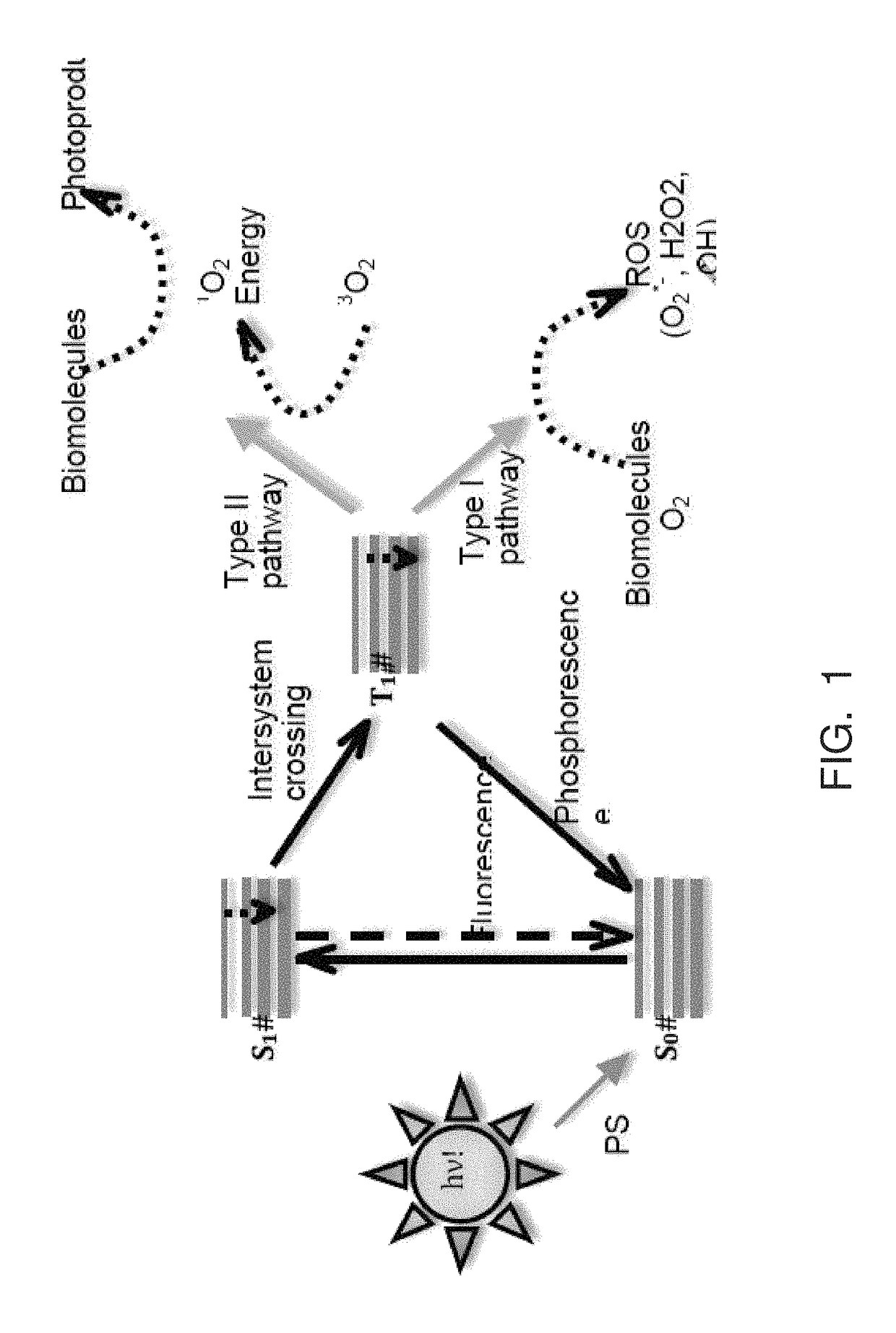 Activated micro-bubble based root canal disinfection