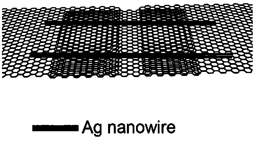 Graphene fiber and preparation method thereof