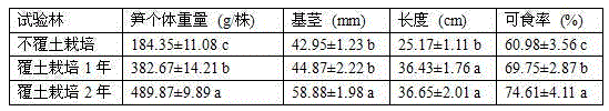 Cultivation method capable of improving quality of long-section bamboo shoots