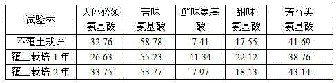 Cultivation method capable of improving quality of long-section bamboo shoots