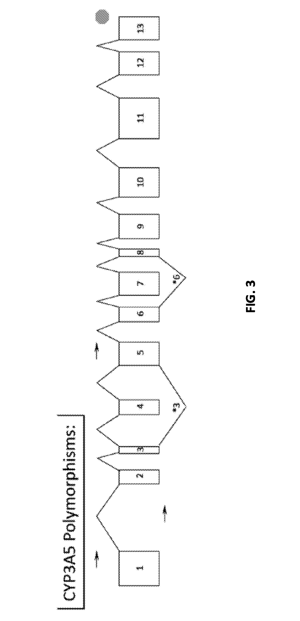 Renal selective inhibition of cytochrome p450 3a5