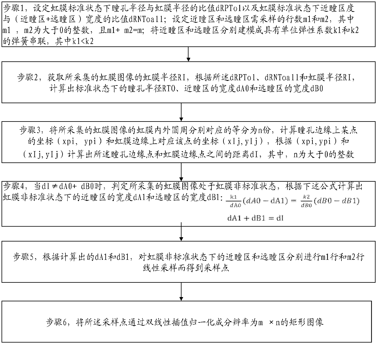 Iris texture normalization method based on dual-spring model