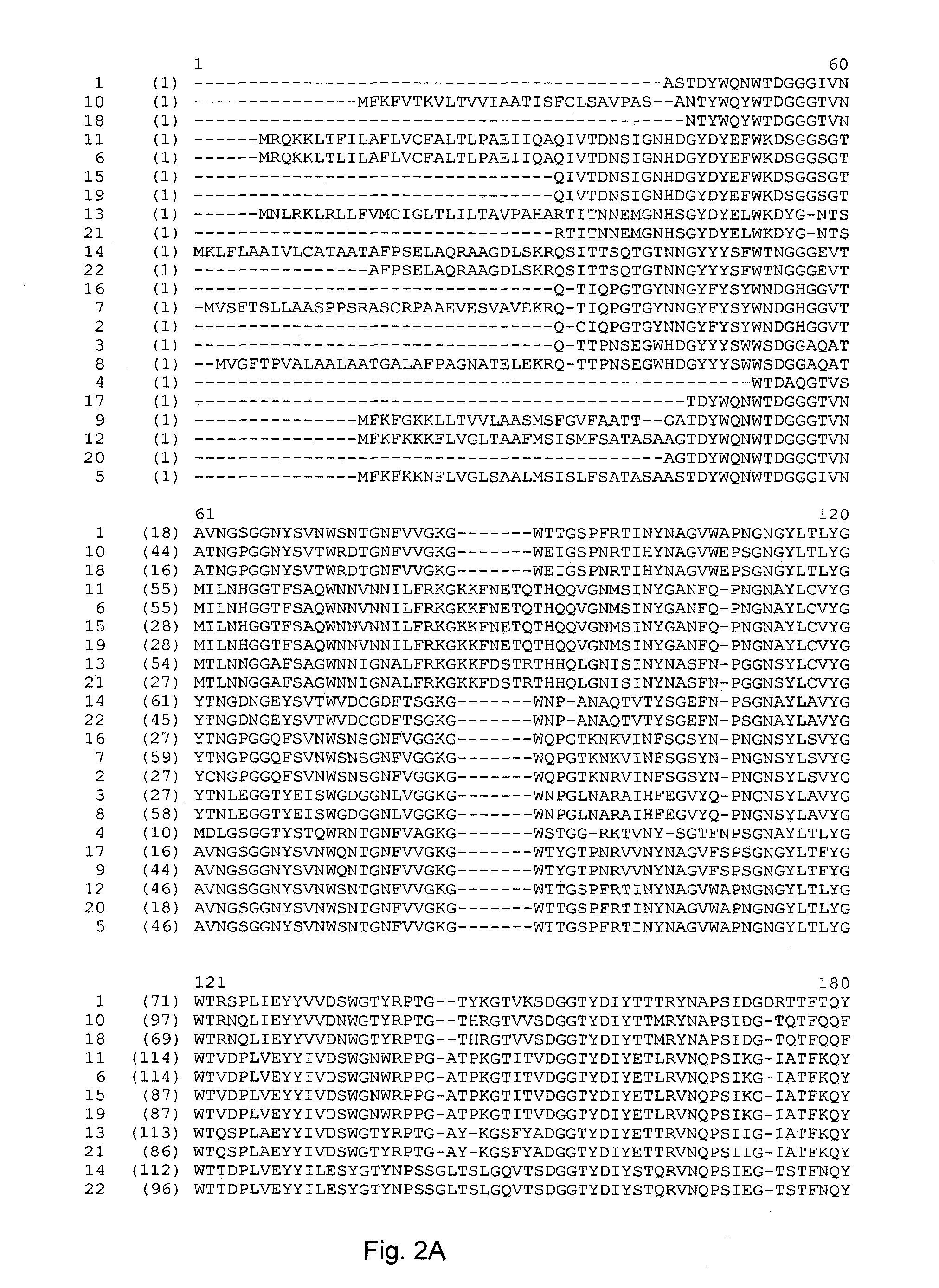 Polypeptides with xylanase activity