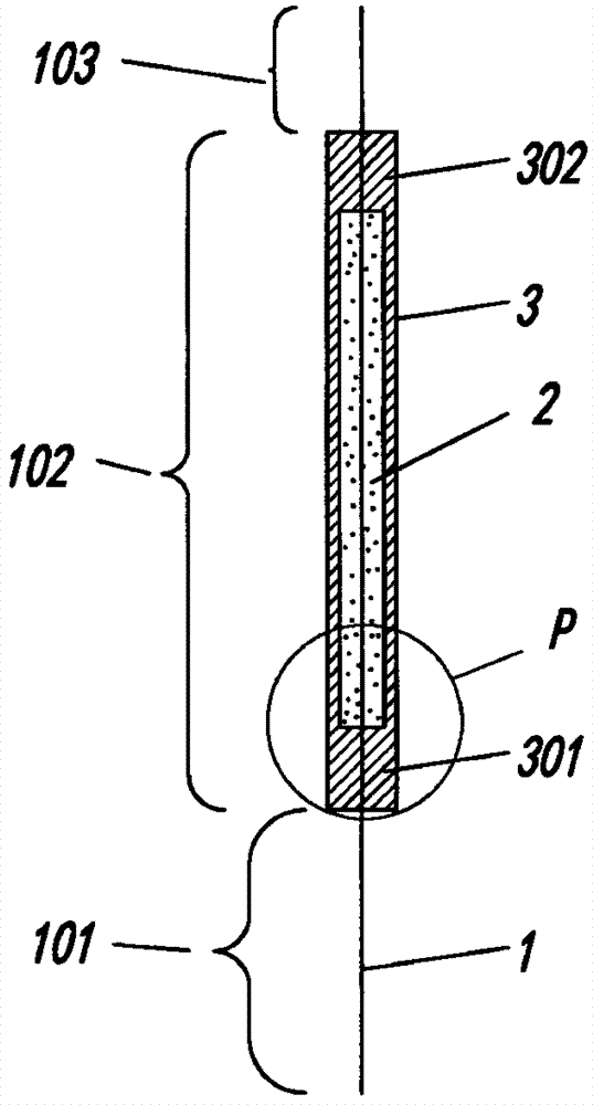 Protective rod, rod for concrete structure, manufacturing process of rod body and anchor rod