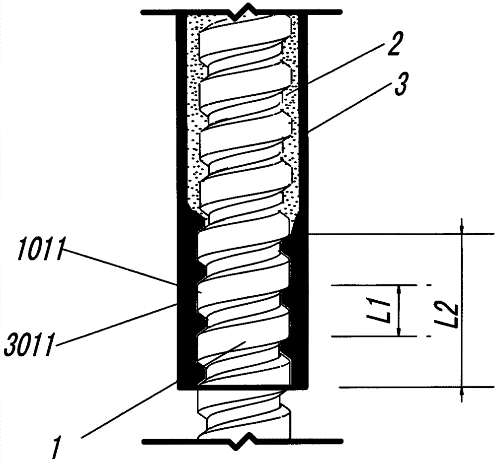 Protective rod, rod for concrete structure, manufacturing process of rod body and anchor rod