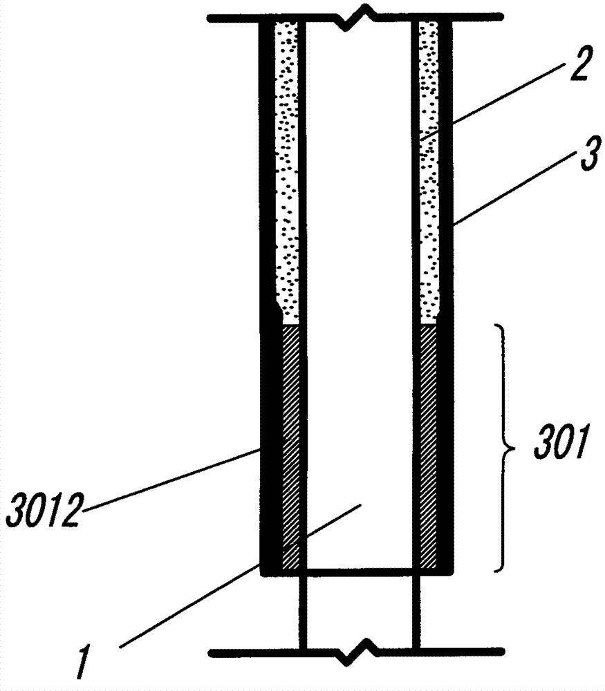 Protective rod, rod for concrete structure, manufacturing process of rod body and anchor rod