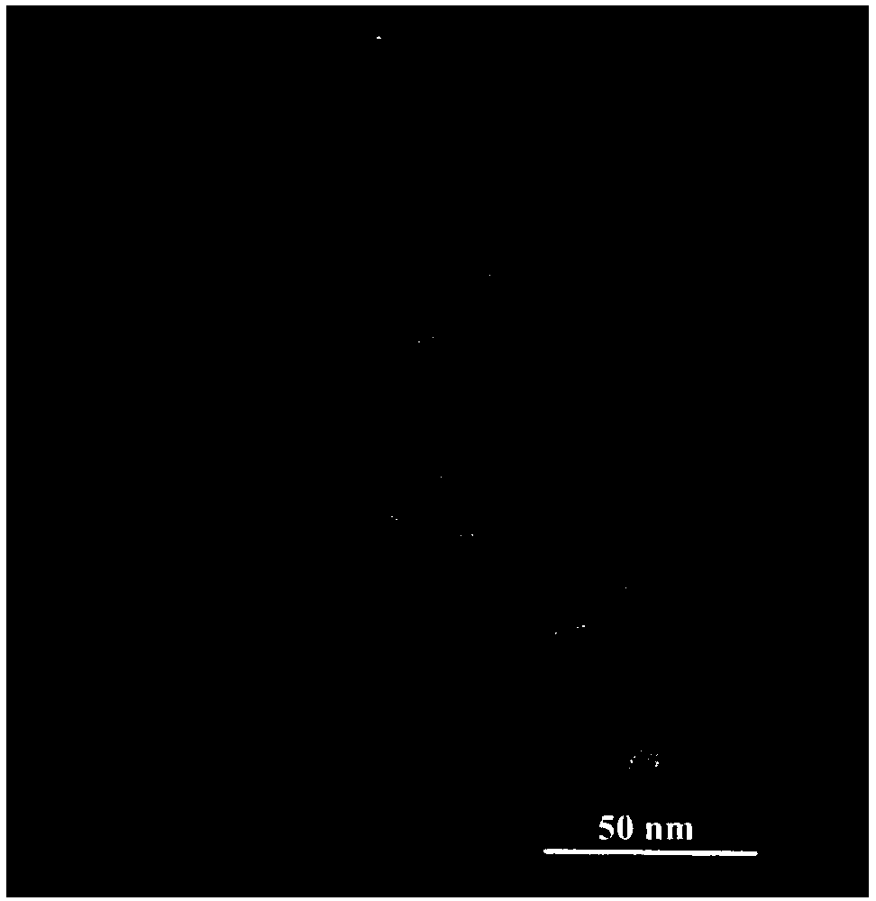 Metal nano porous structure and preparation method and application thereof