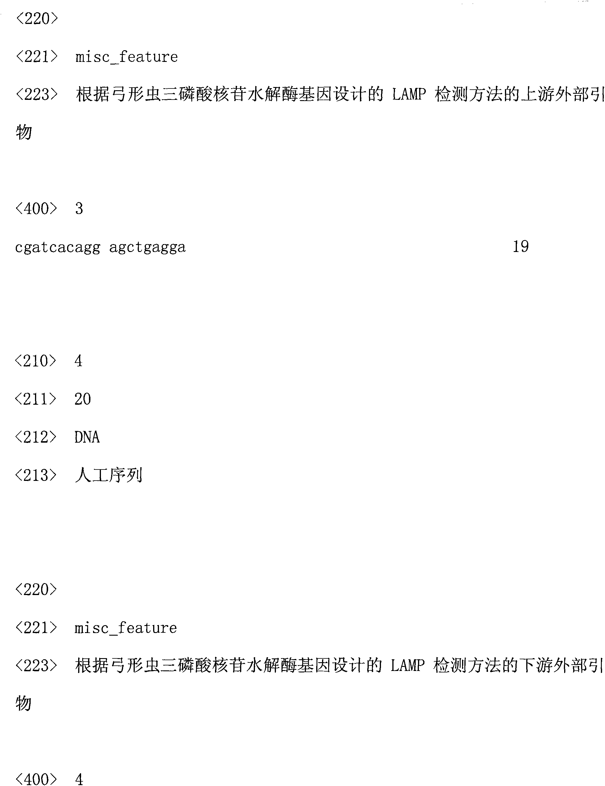 Toxoplasma gondii rapid detection kit and preparation method thereof