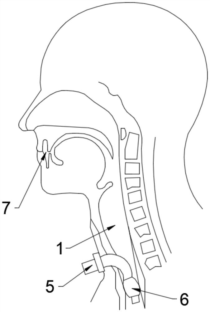 Breathing assembly supporting voice function, ventilation method thereof and breathing machine