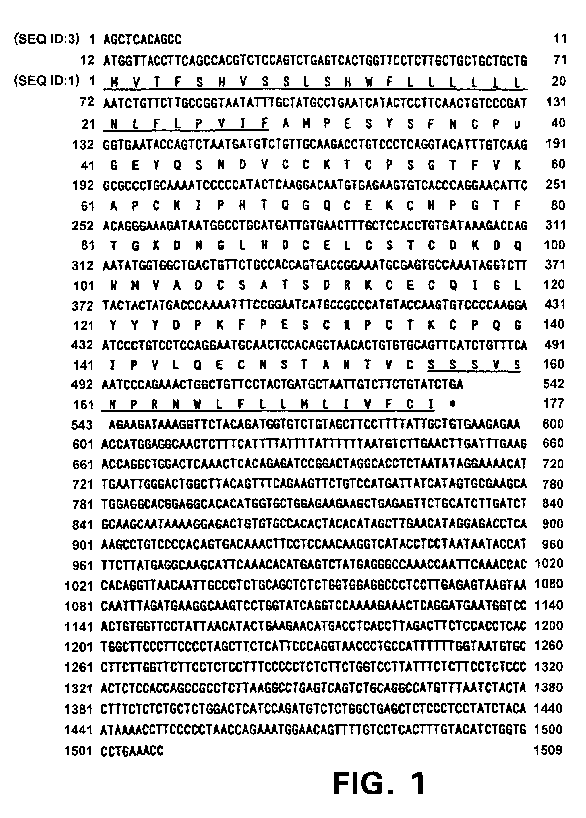 Isolated antibodies to a secretory membrane protein