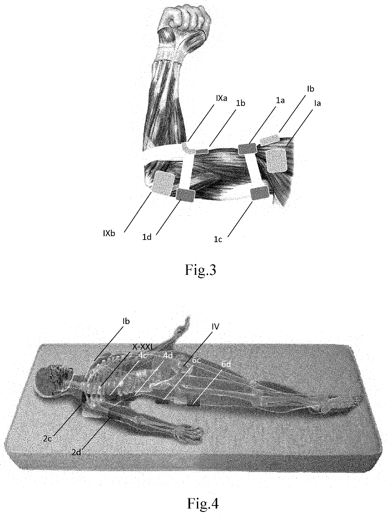 Method for Relaxing Spasmed Muscles