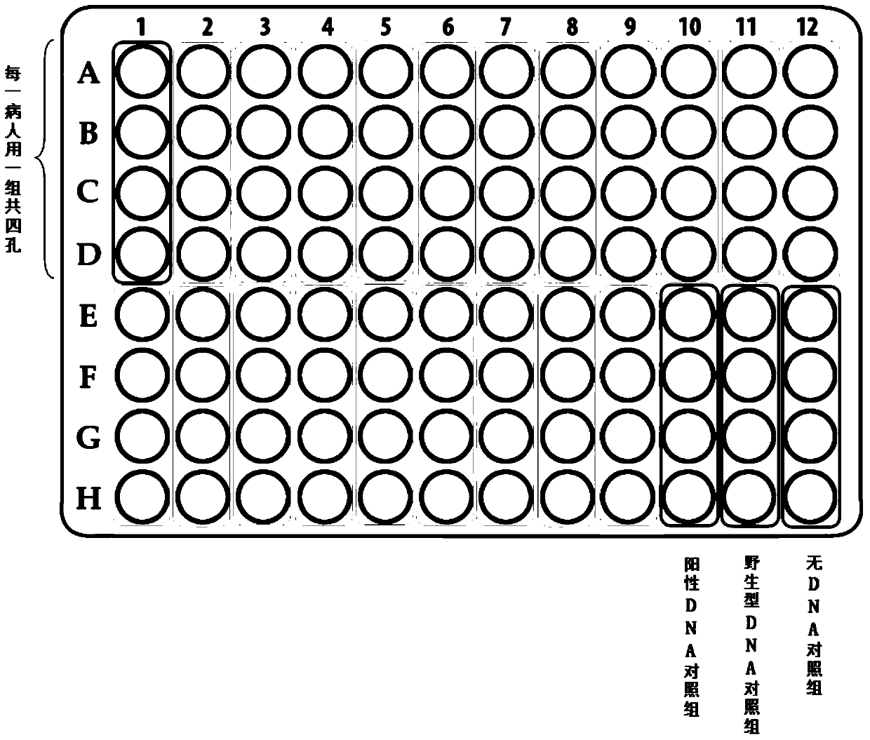 gnas gene mutation detection reagent