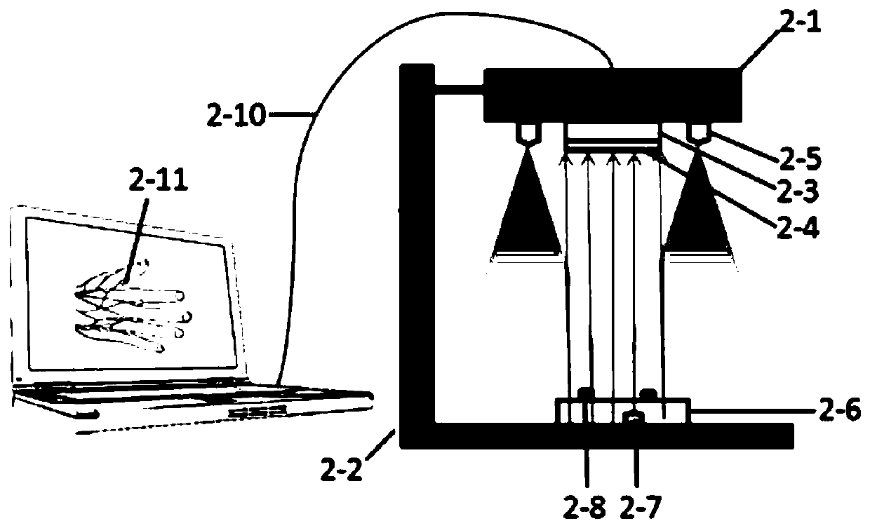 Identity recognition method and device capable of simultaneously capturing human pulse and vein images