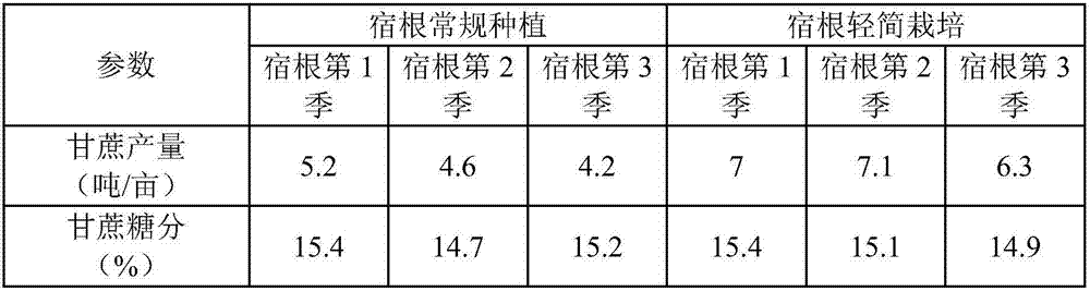 Dryland sugarcane perennial root multi-season simple cultivation method