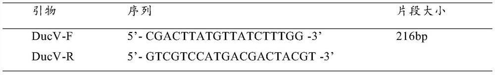 Triple inactivated vaccine for duck circovirus disease, novel duck reovirus disease and duck virus hepatitis and preparation method of triple inactivated vaccine