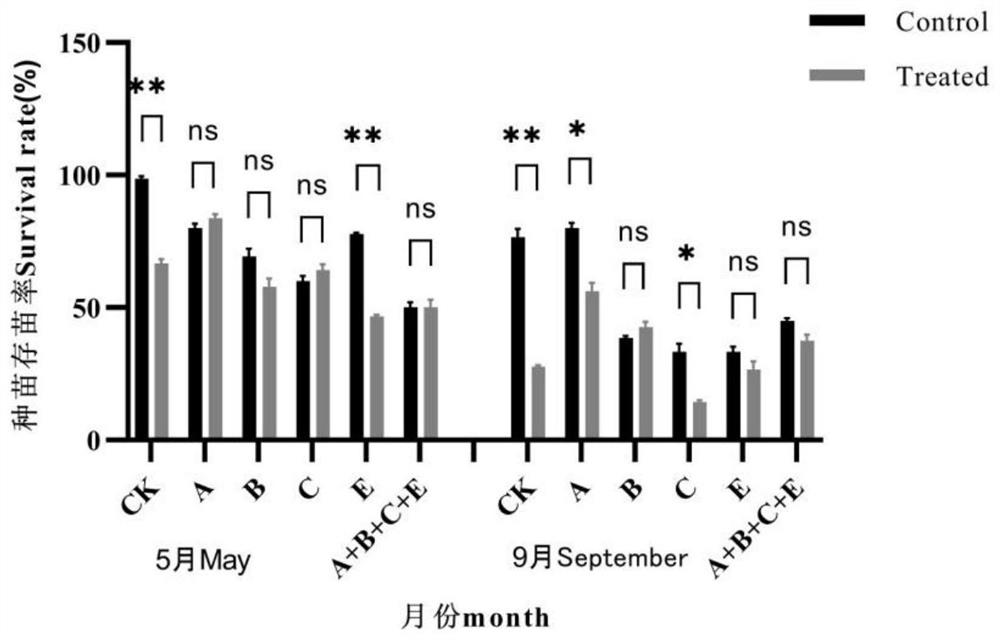 Method for preventing and controlling nematode disease of panax notoginseng