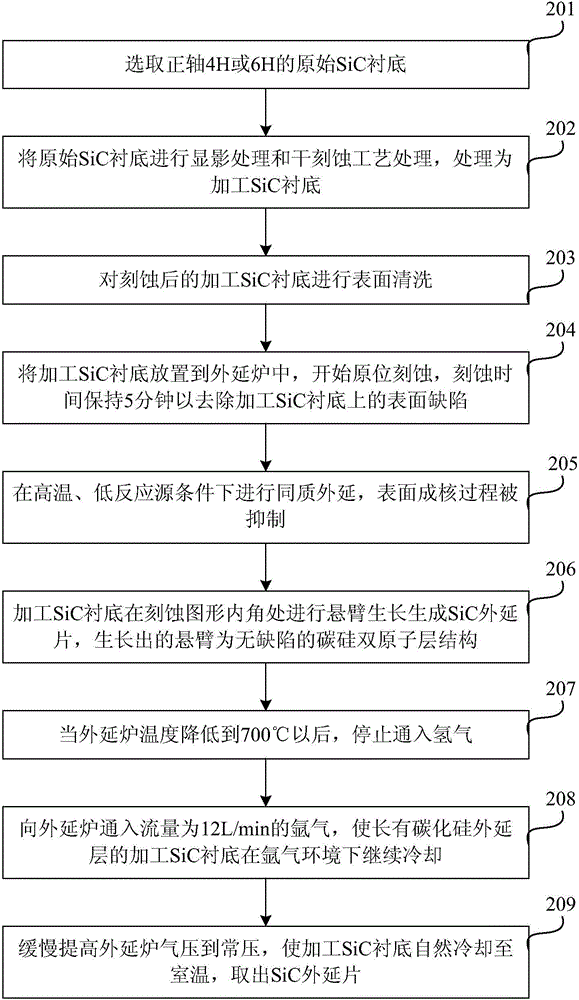 Homogeneous network growth web Growth epitaxy method on sic substrate