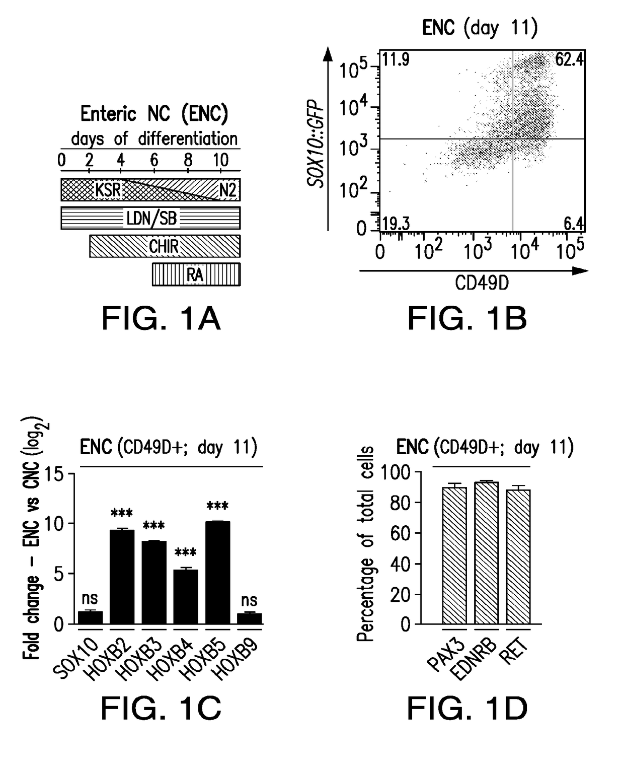 Cell-based treatment and drug discovery in hirschsprung's disease enabled by pluripotent stem cell-derived human enteric neural crest lineages