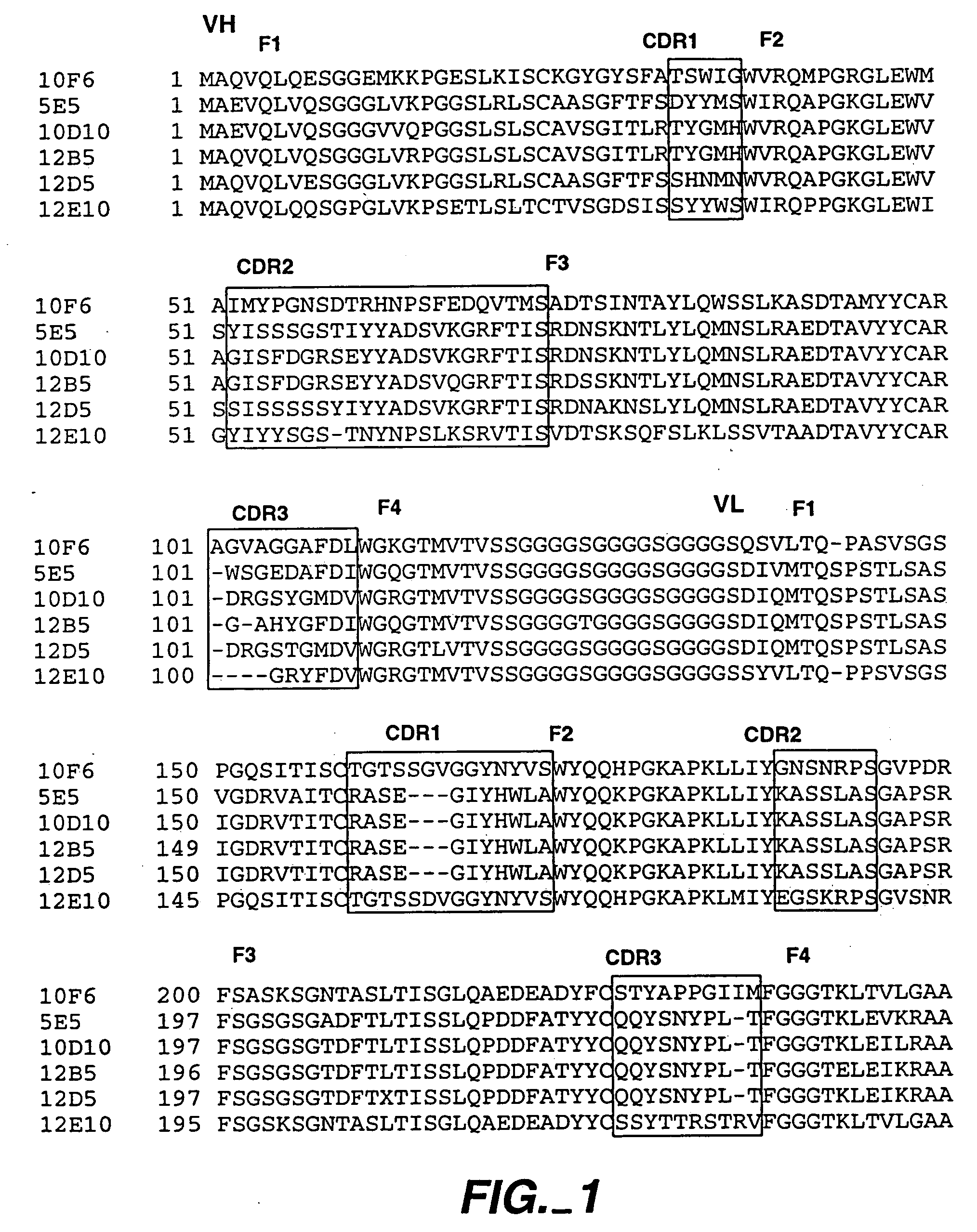 Agonist antibodies