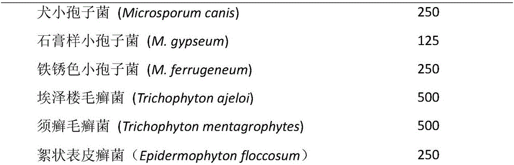 Application of Chinese torreya essential oil to preparation of anti-dermatophytes cosmetics and medicine