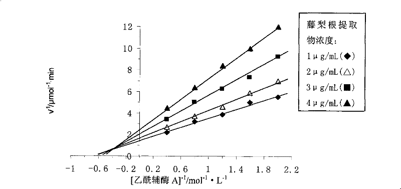 Extract of yangtao actinidia root and preparation method and applications thereof