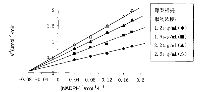 Extract of yangtao actinidia root and preparation method and applications thereof