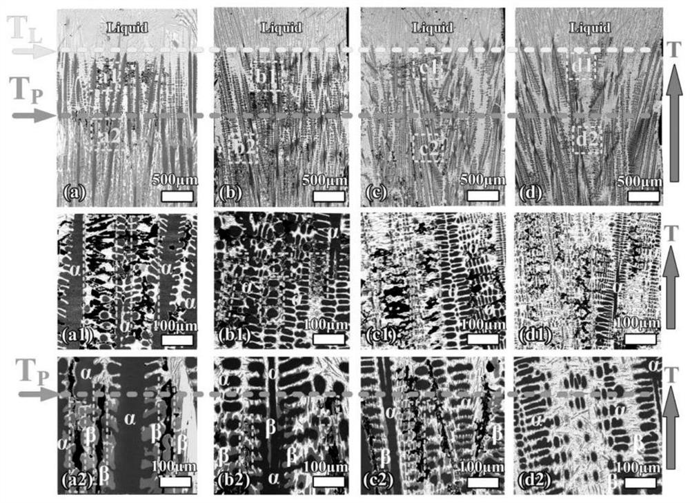 Method for predicting freckle morphology defects in directional solidification peritectic alloy paste area