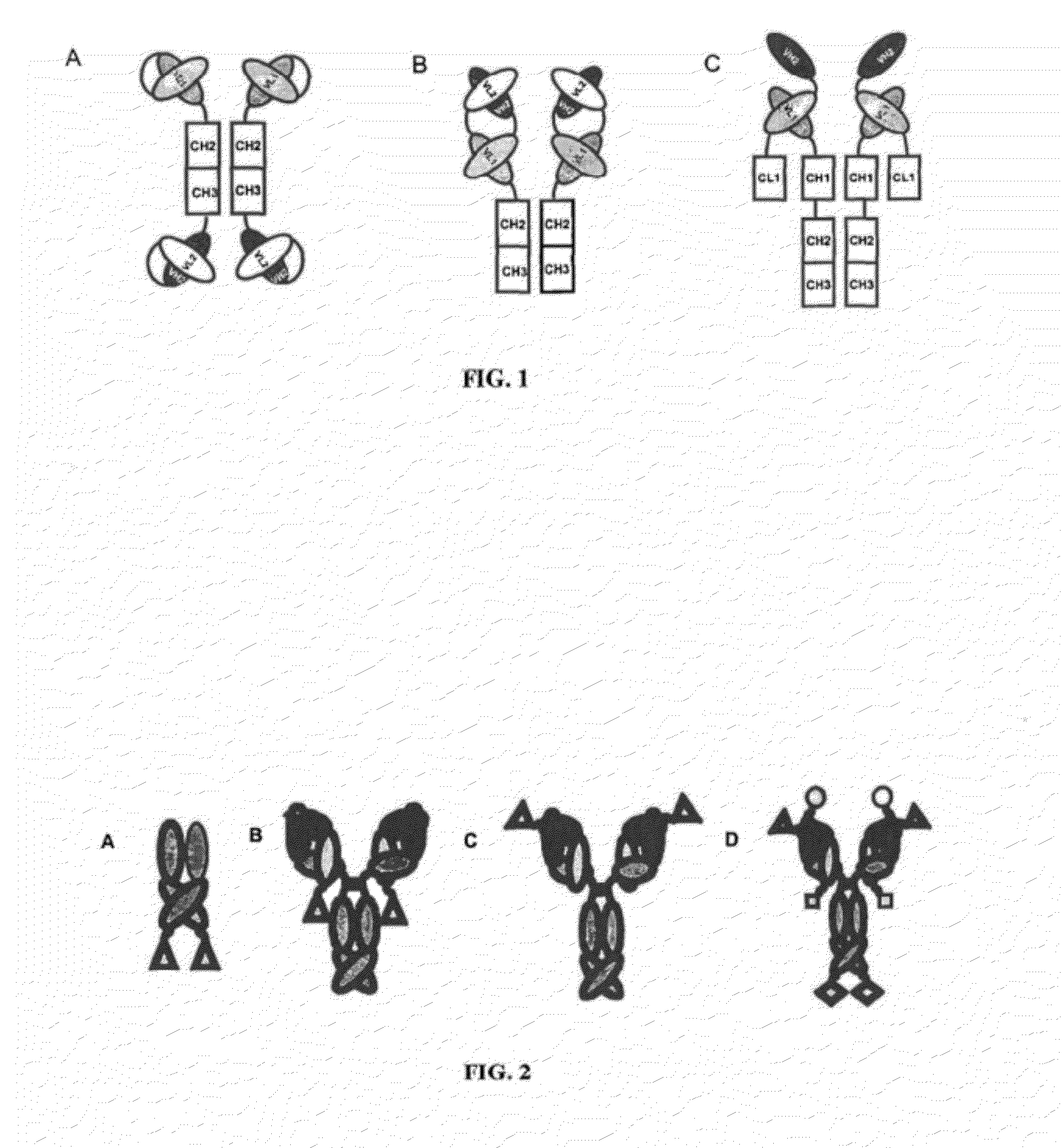 Ang-2 Binding Complexes and Uses Thereof