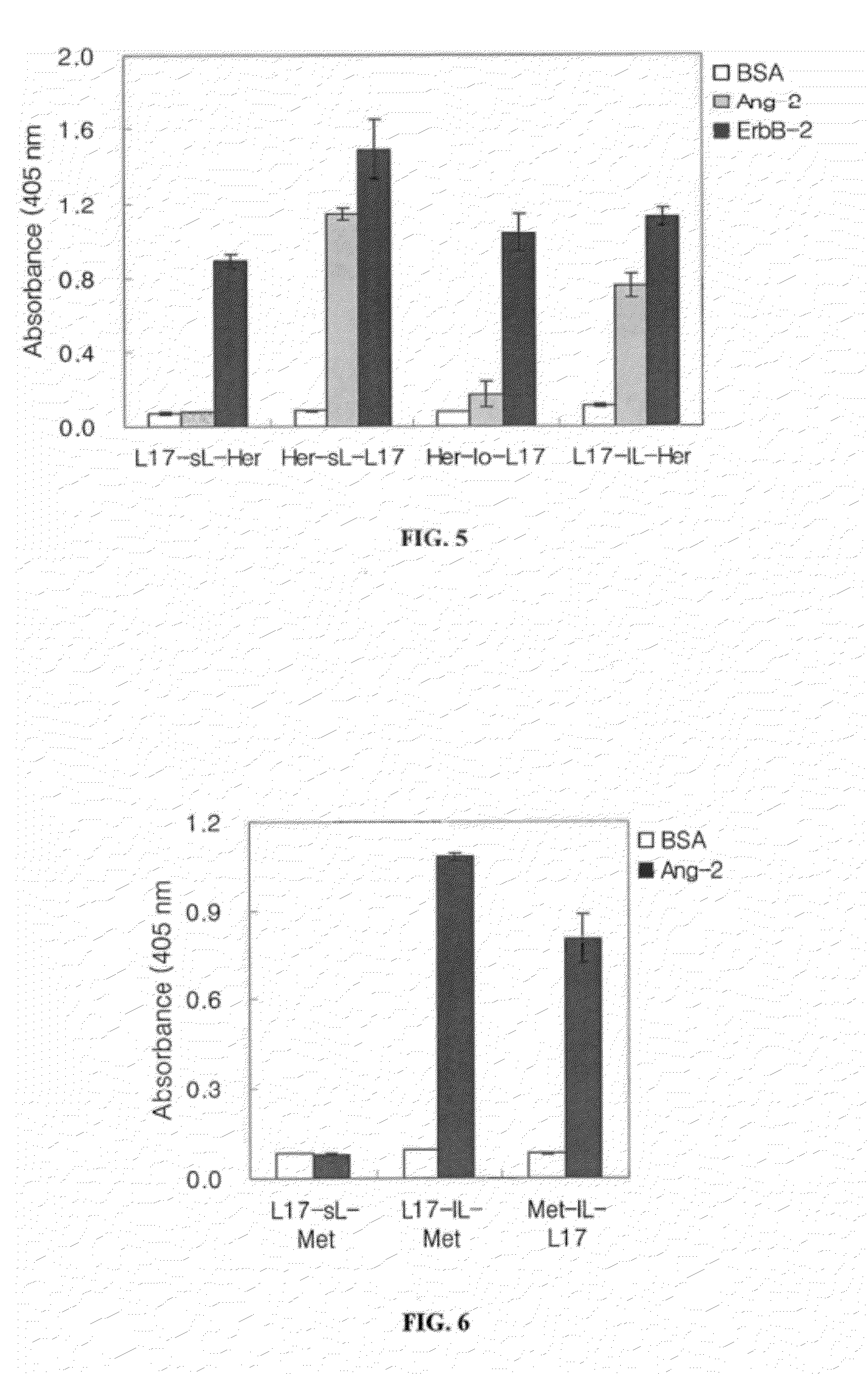 Ang-2 Binding Complexes and Uses Thereof