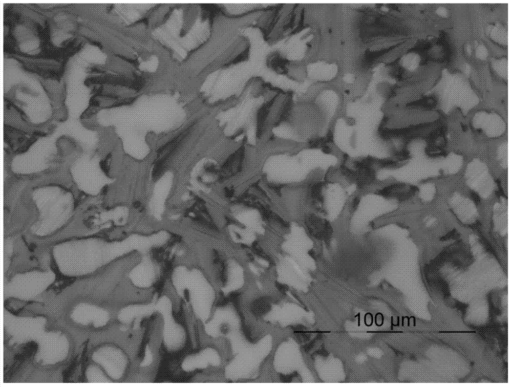 High-performance magnesium metal matrix composite material and preparation method thereof