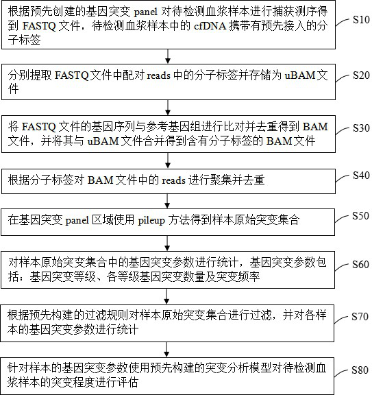 Liquid biopsy-based ctDNA mutation degree analysis method and device and ctDNA performance analysis device