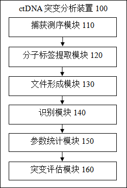 Liquid biopsy-based ctDNA mutation degree analysis method and device and ctDNA performance analysis device