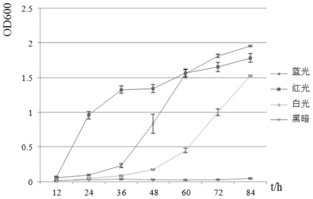 A preventive treatment method for kelp albinism