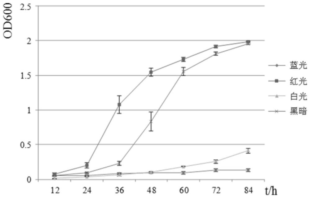 A preventive treatment method for kelp albinism