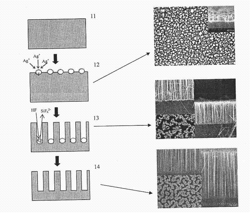 Visible photoelectrochemical detector based on one-dimensional silicon nanostructure array