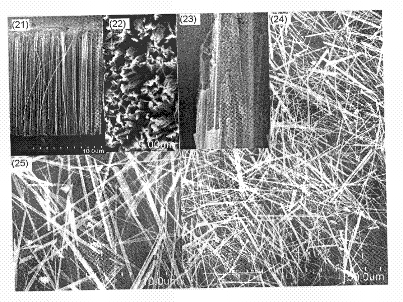 Visible photoelectrochemical detector based on one-dimensional silicon nanostructure array