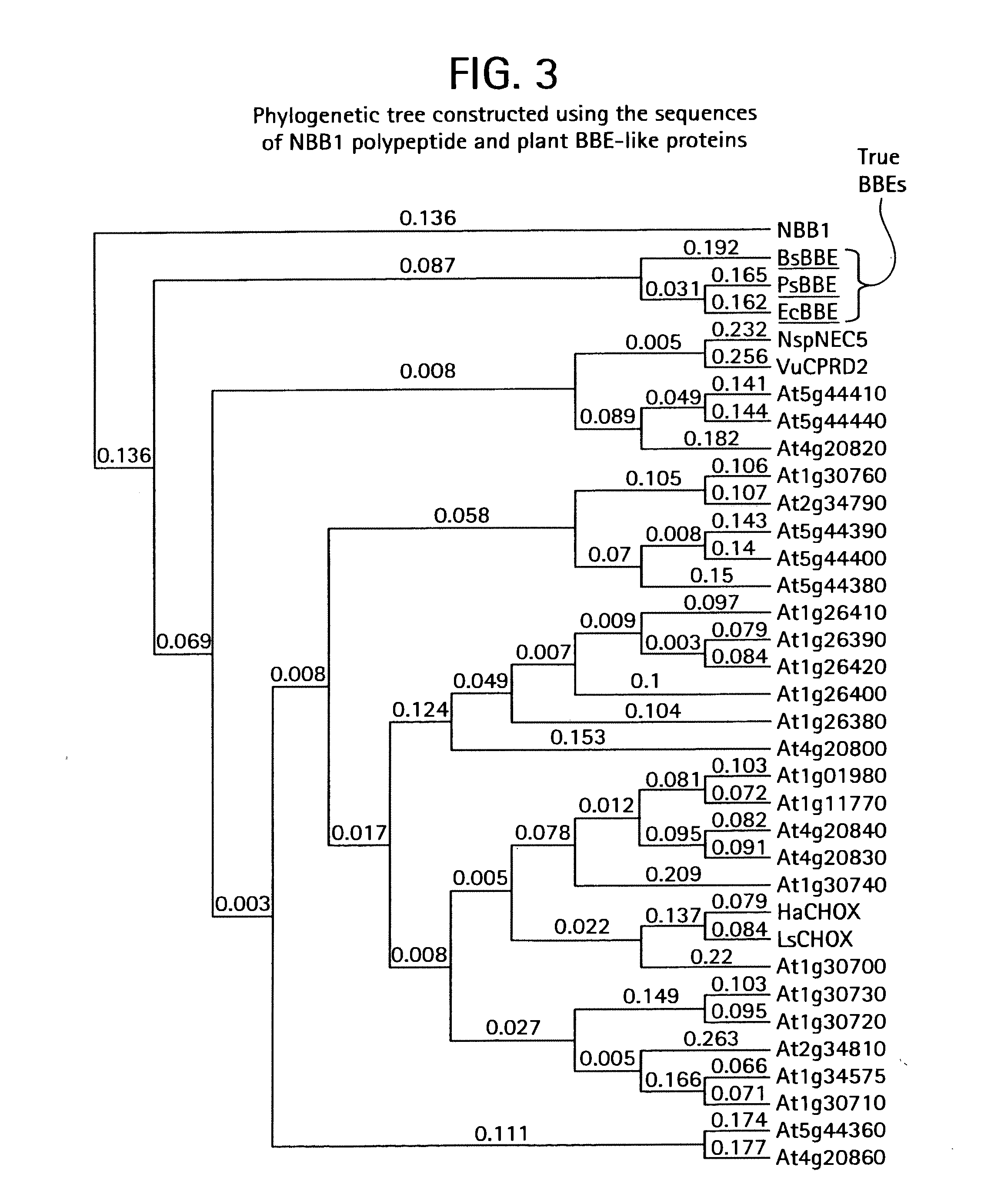 Increasing levels of nicotinic alkaloids in plants