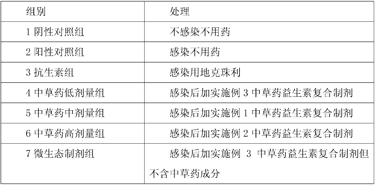 Chinese herbal medicine-probiotic compound preparation for preventing and treating chicken coccidiosis